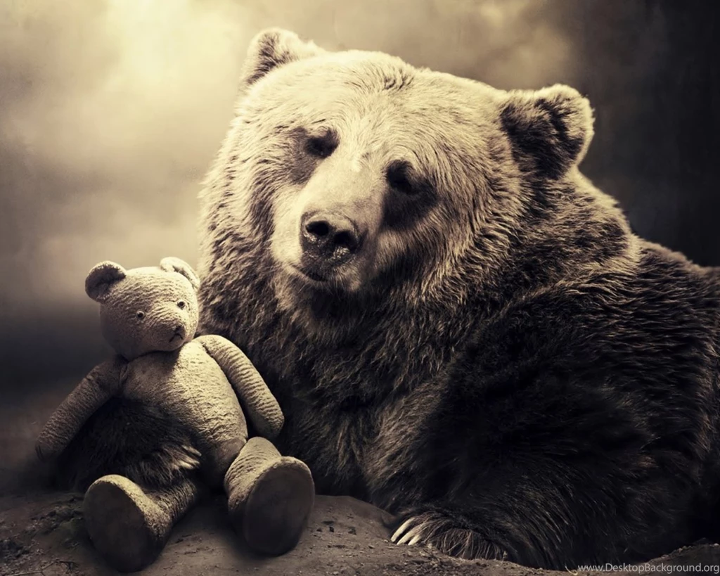 Page 4: 1280x1024 Bear Wallpapers HD, Desktop Backgrounds ...