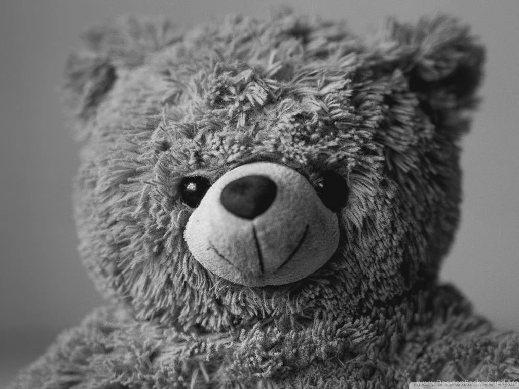 Teddy Bear HD Desktop Wallpapers : Widescreen : High Definition ...