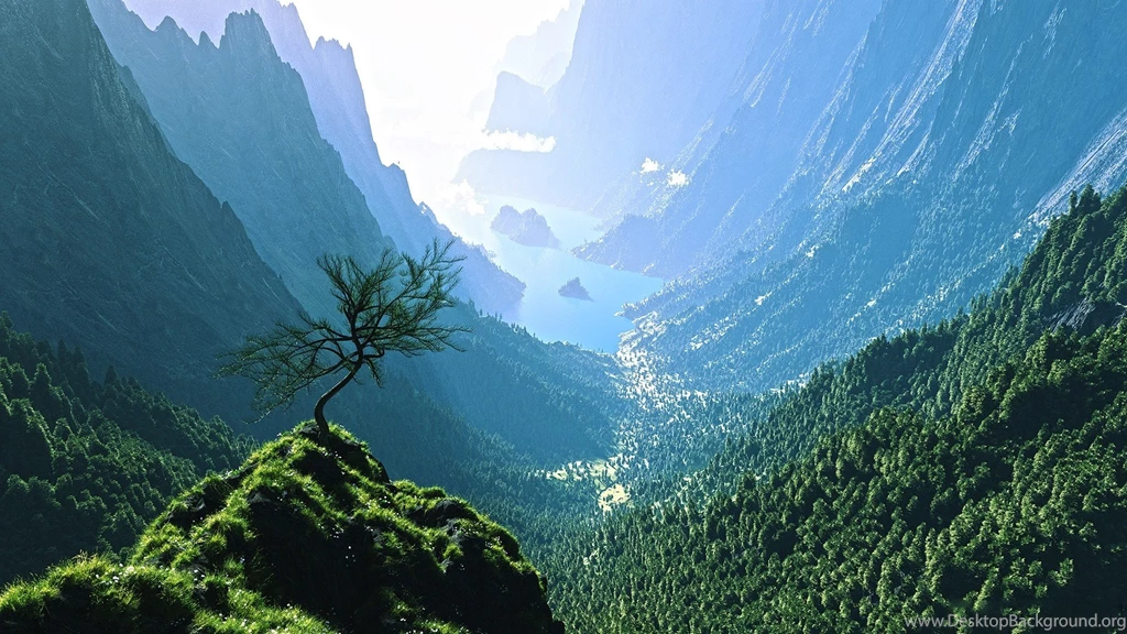 Mountain Forest Valley