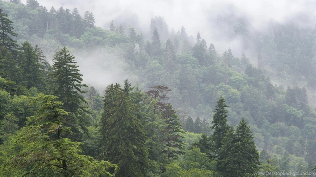 Nature, Background, National, Landscape, Smoky, Great, Park ...