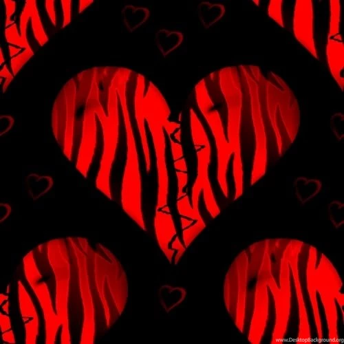 Pink And Black Zebra Wallpapers   Wallpapers Zone