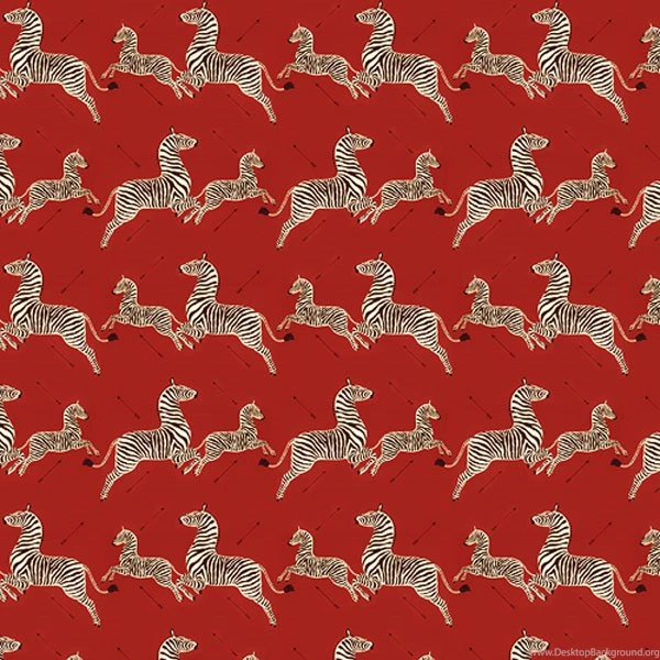 Alfa Img   Showing > Royal Tenenbaums Wallpapers Zebra