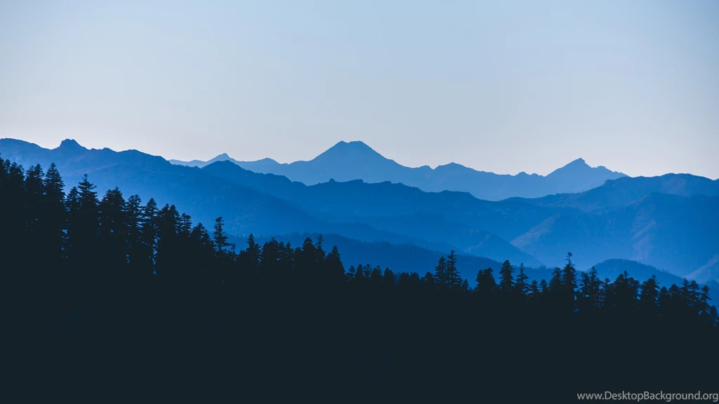 Forest Wallpapers