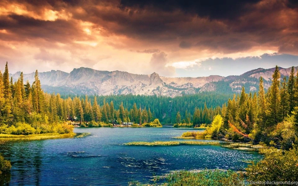 Nature