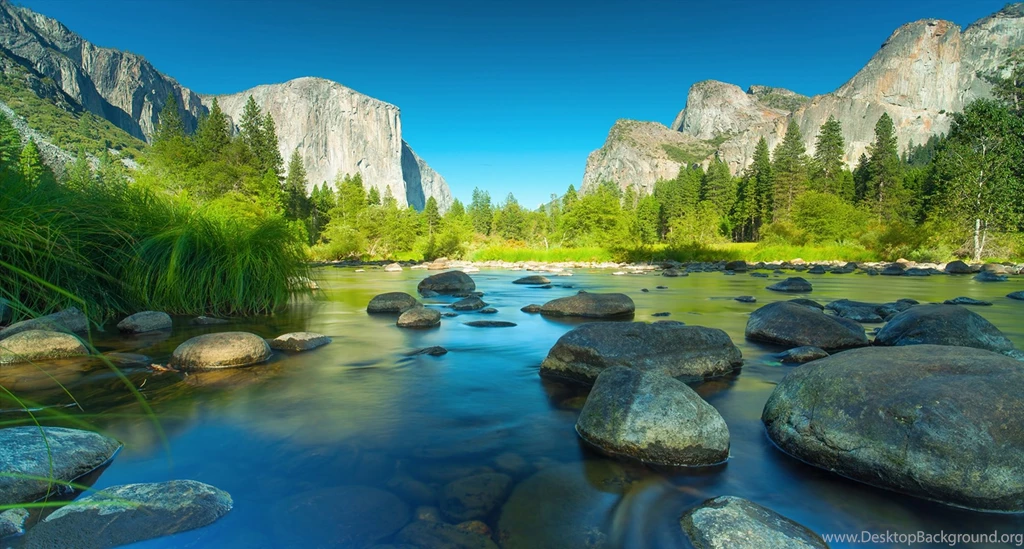 Forest, Cliff, Beautiful, River, El Capitan, Summer, National Park ...