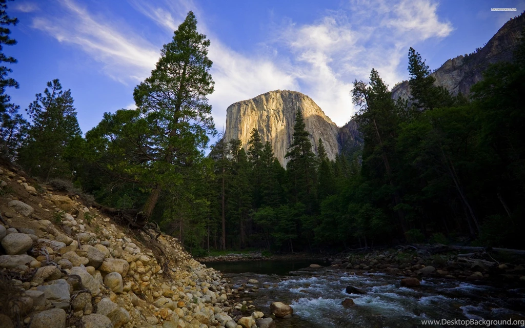 Mountain Forest Stream, Rock, Sky, Cloud, Tree, Nature, 2560x1600 ...