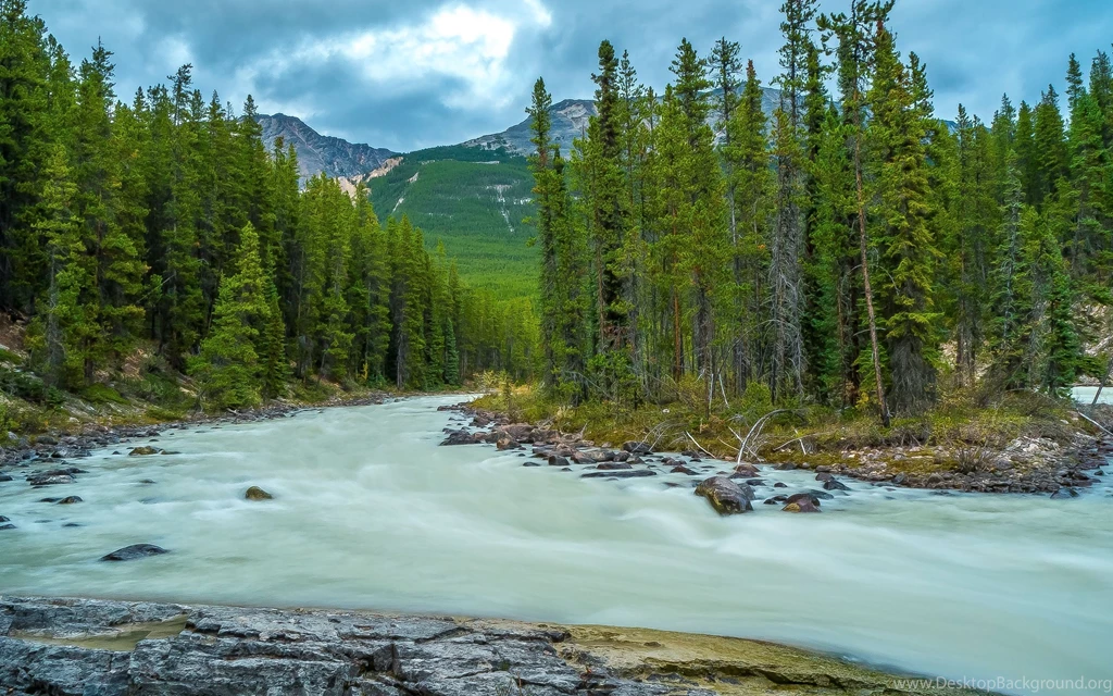 Mountain Forest River Trees Landscape Wallpapers