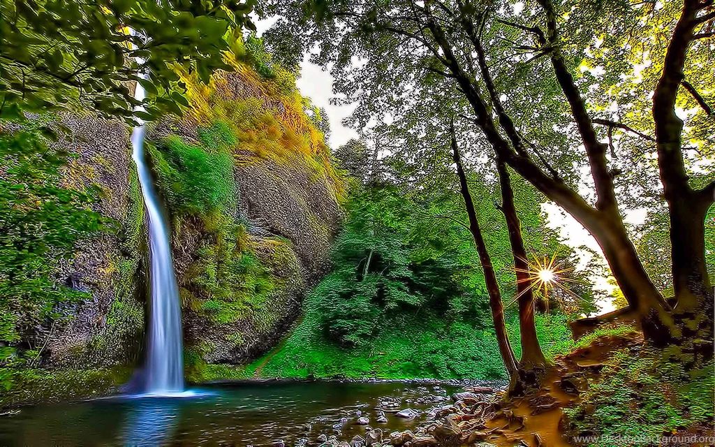 Wallpapers Mountain Stream 1920x1200