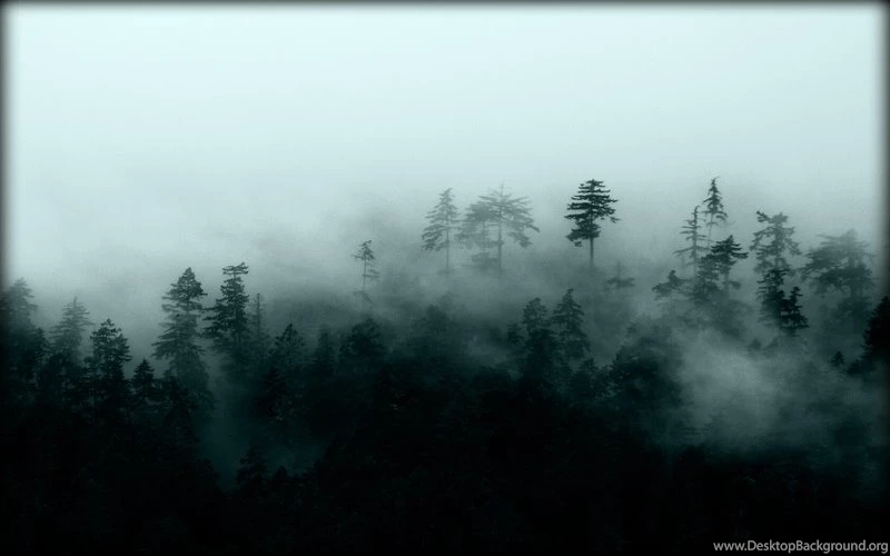 Misty Mountain Misty Mountain Silhouettes – Nature Forests HD ...