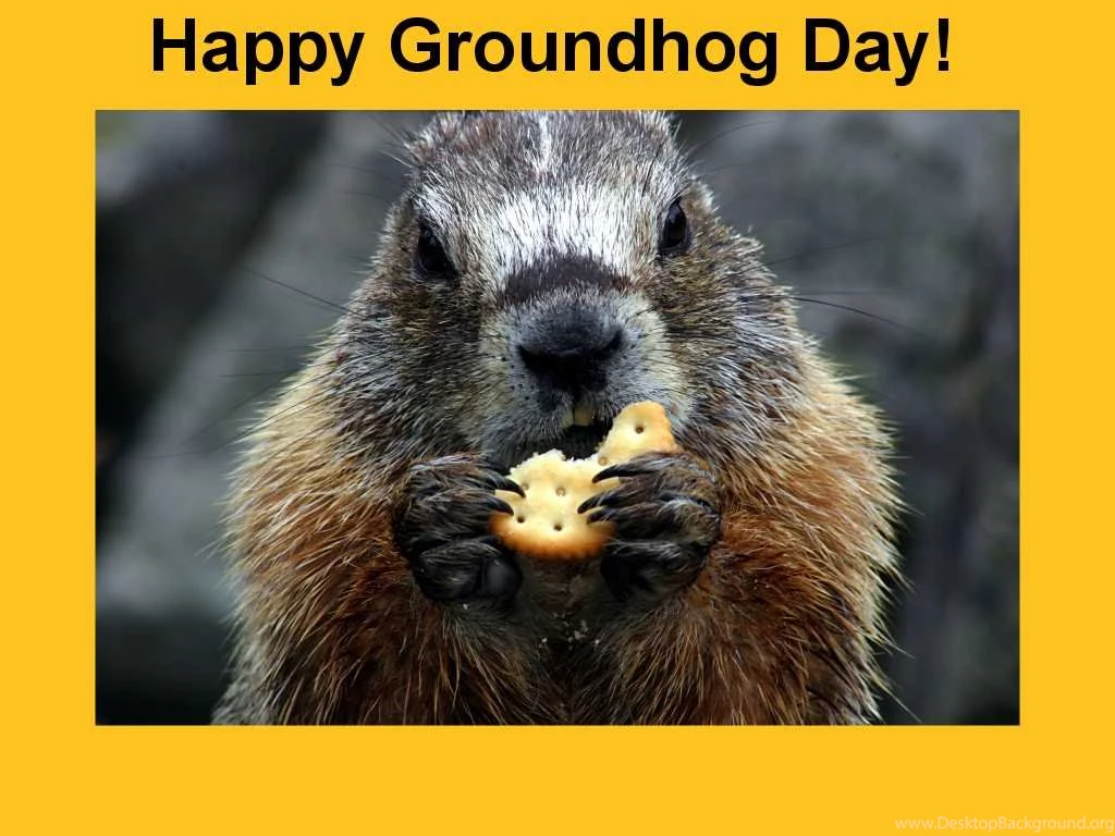 Groundhog Day Wallpapers HD Download