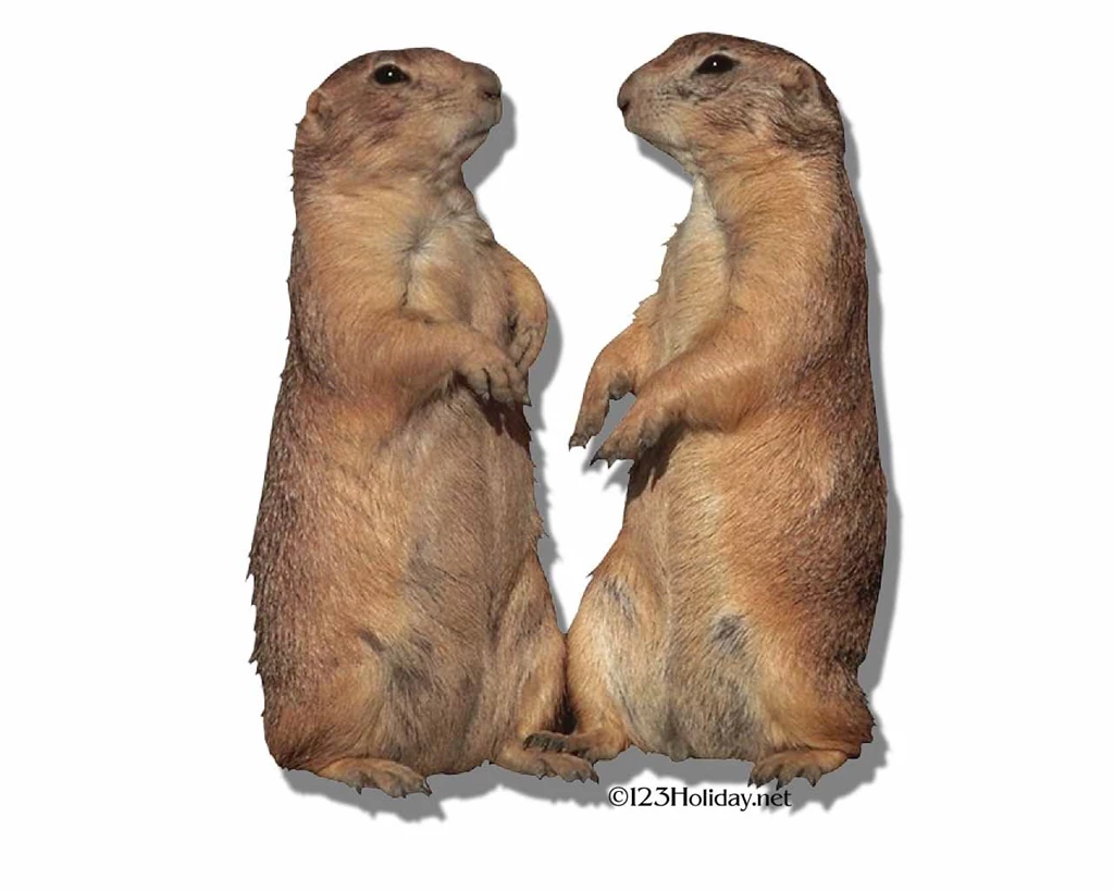 Groundhog Day Groundhogs Day Holiday Website