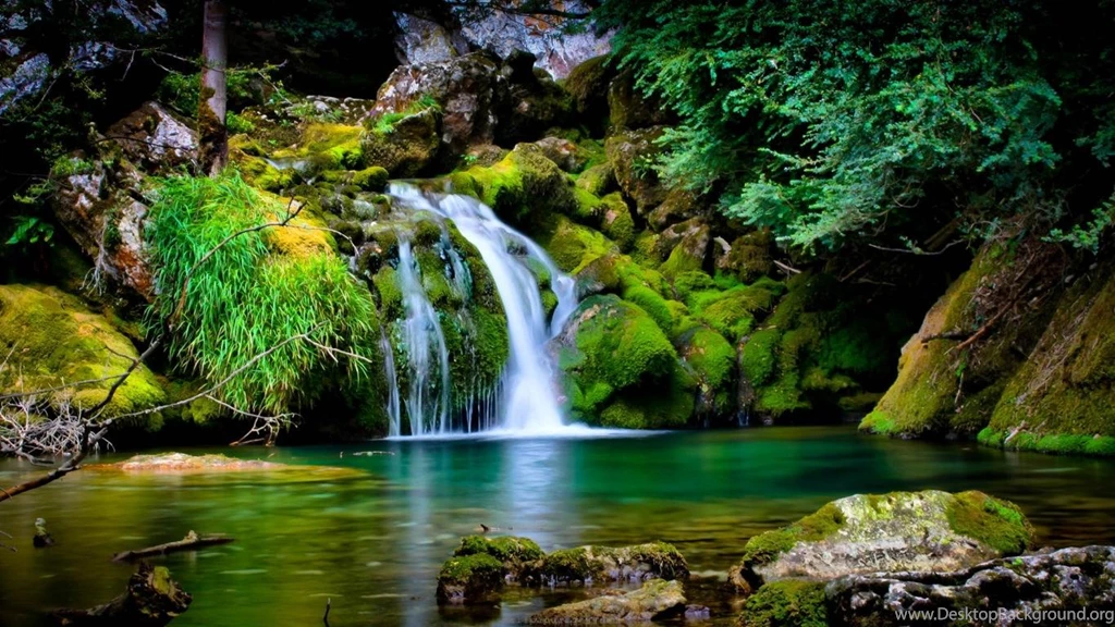Wallpapers Forest Waterfall France Vercors Moss Natural Hd ...