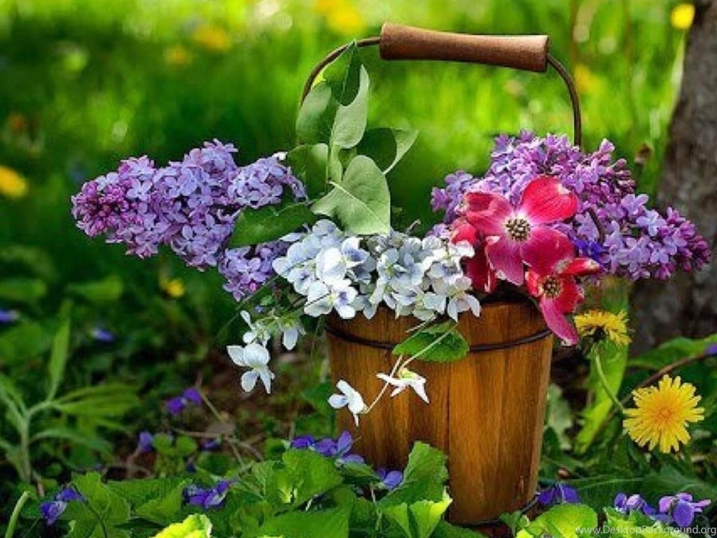 SPRING FLOWERS WALLPAPER   (