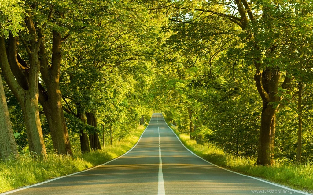 Best Nature Screensaver: Screensaver And Wallpapers Of