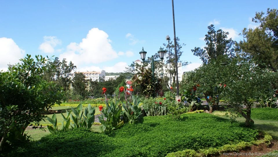 Free PS Vita Wallpapers