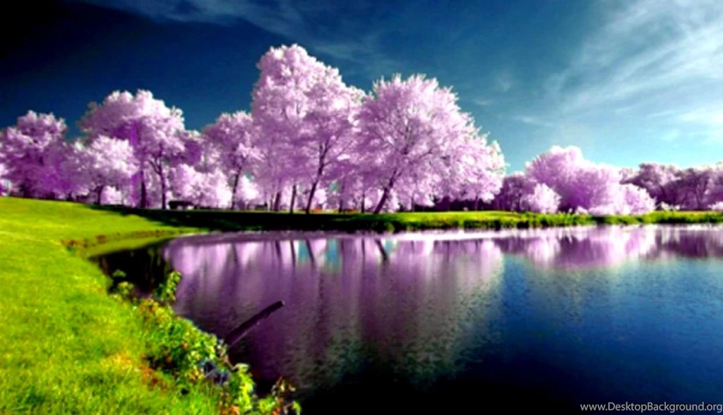 Spring Nature Wallpapers High Resolution