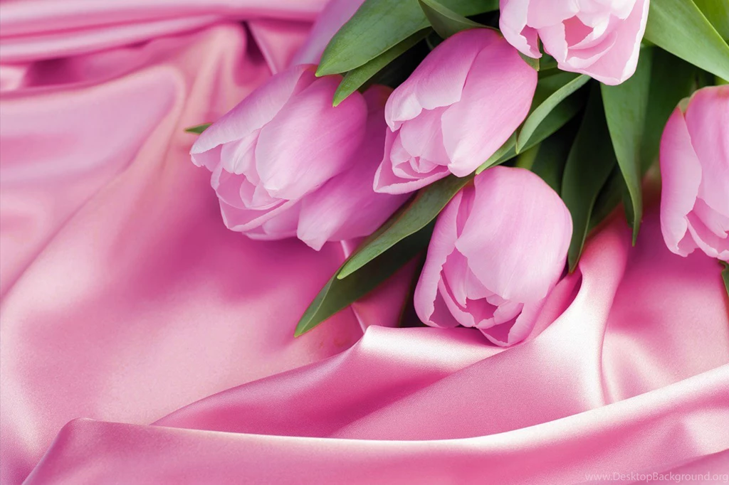 Pink_Tulips_on_Satin_Wallpaper.jpg?m=1399676400