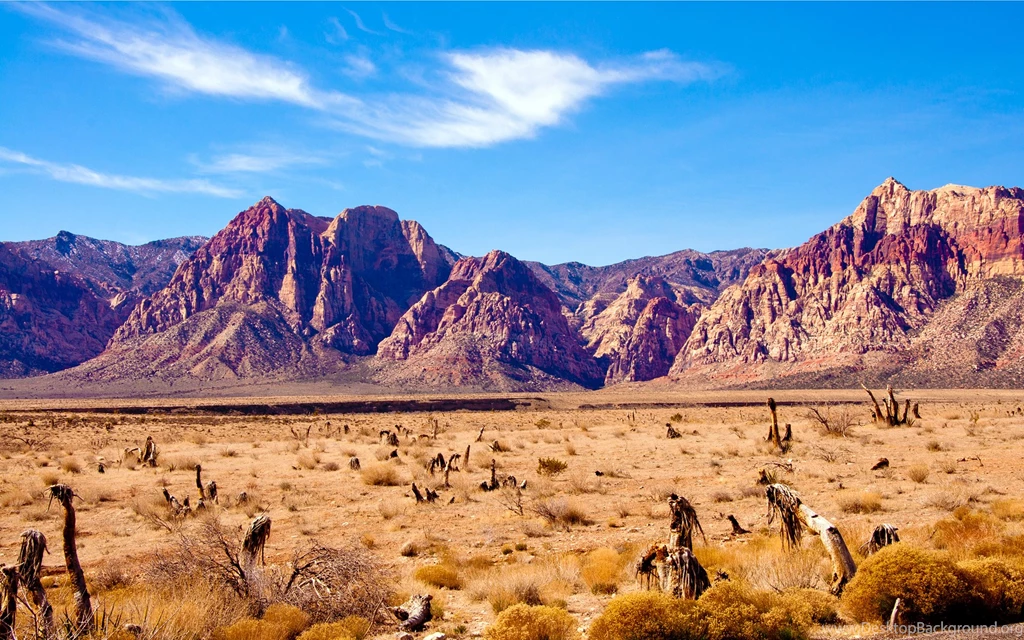 Desert Wallpapers Picture For Desktop Backgrounds Ndemok.com