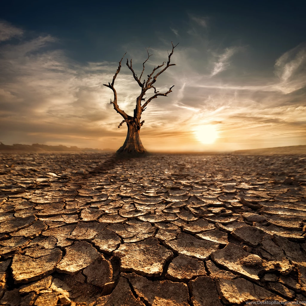 Desert_Background_with_Tree.jpg?m=1444134388