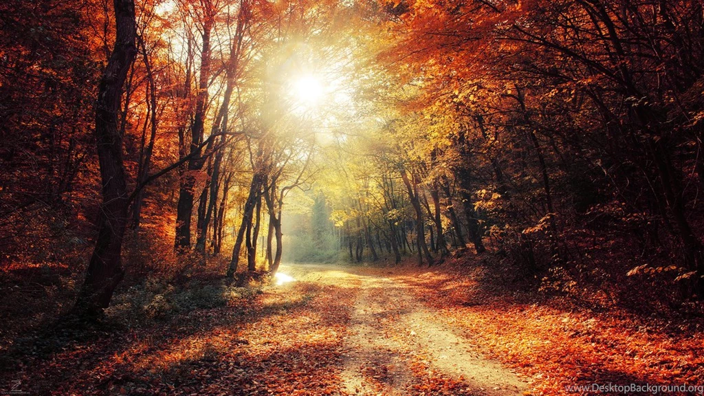 Autumn Walk XXVII. Wallpapers By RealityDream On DeviantArt