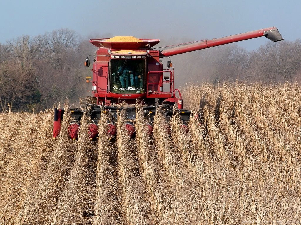 Galusha Farm Case IH 2388 Combine
