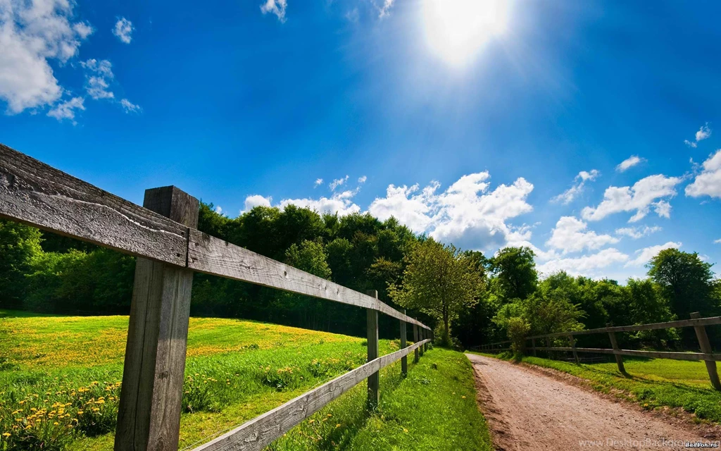 Sunny Day Backgrounds Wallpapers Cave