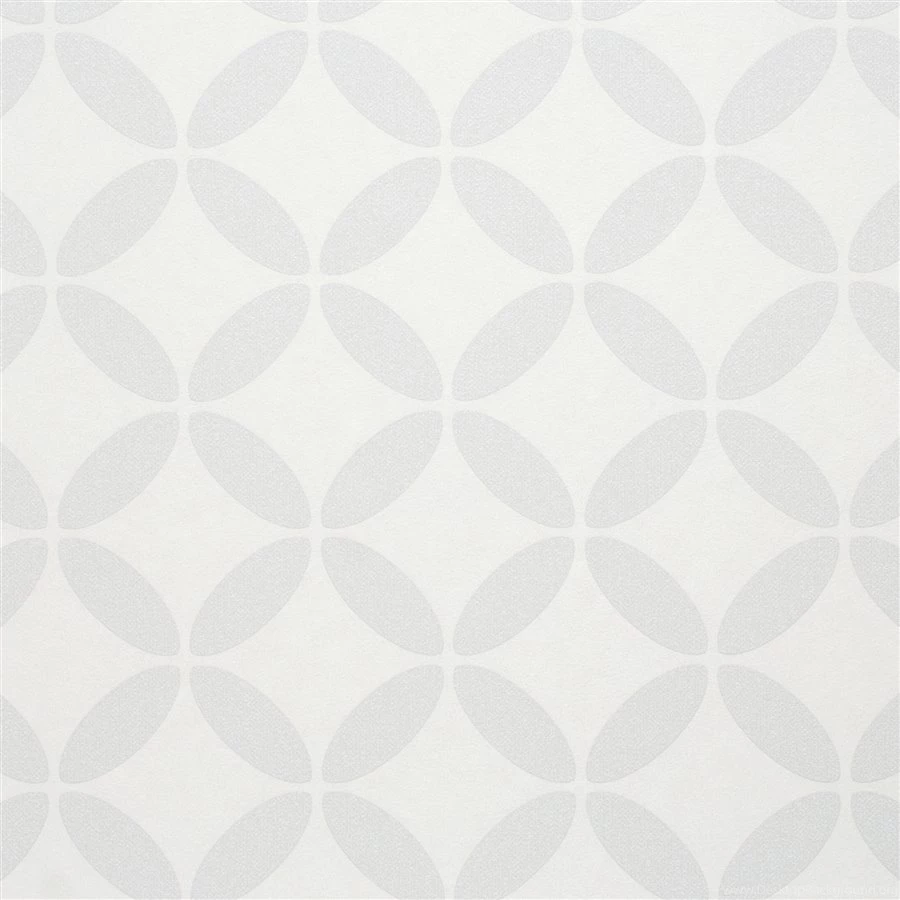 Light Grey Evolve Wallpapers