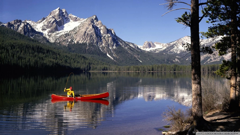 Fly Fishing Wallpapers