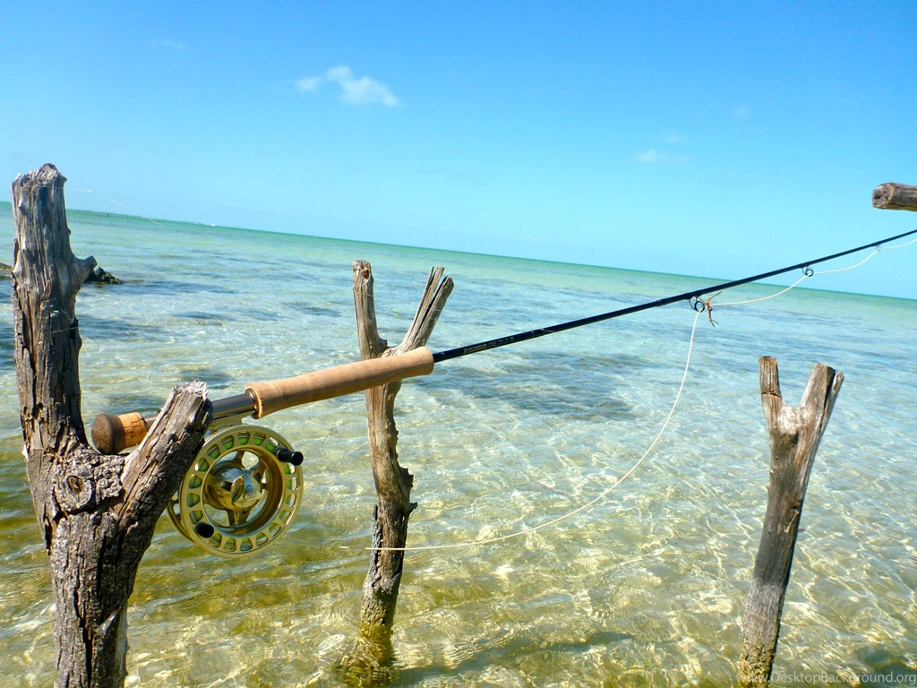 Women Fly Fishing Wallpapers Ocean Reel
