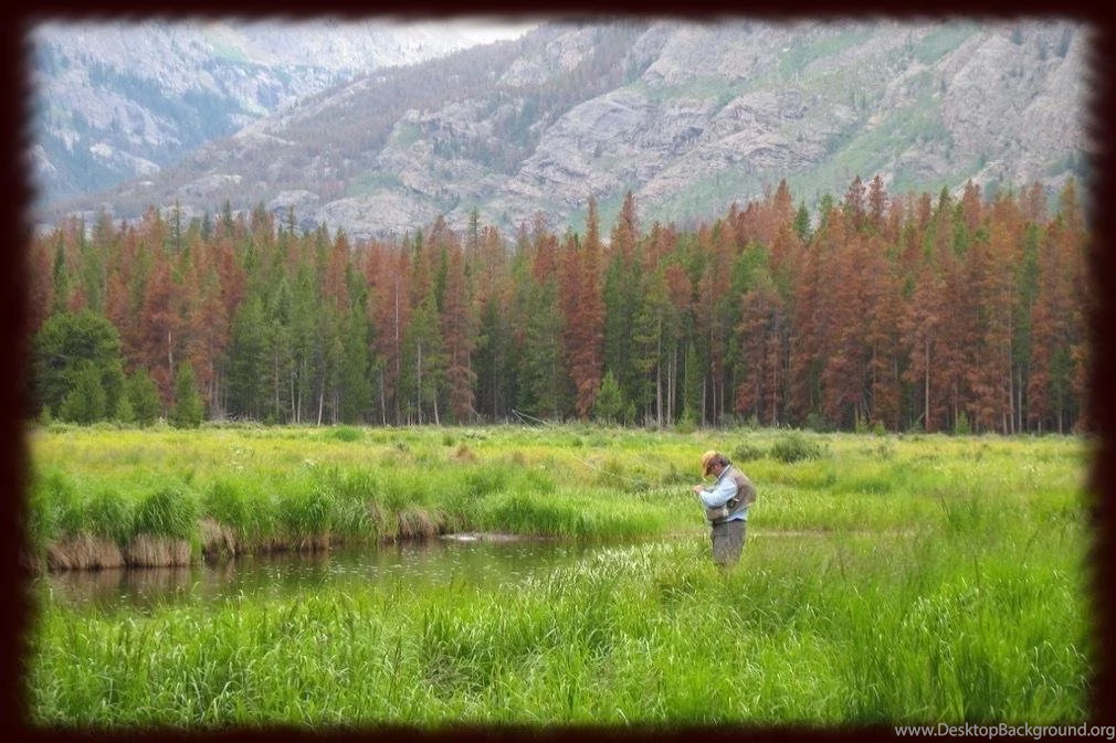 Fly Fishing Wallpapers Free Android Apps On Google Play