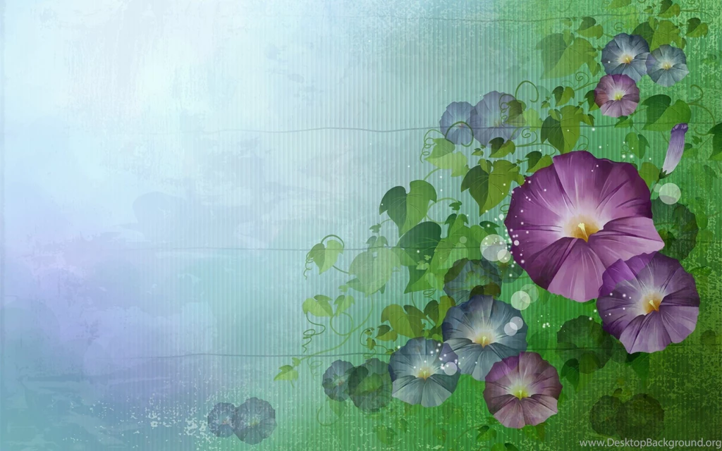 Flowers Wallpapers 556632