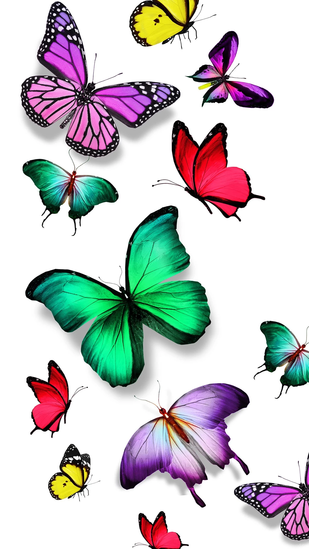 Colorful Butterfly Nexus 6 Wallpapers, Nexus 6 Wallpapers And ...