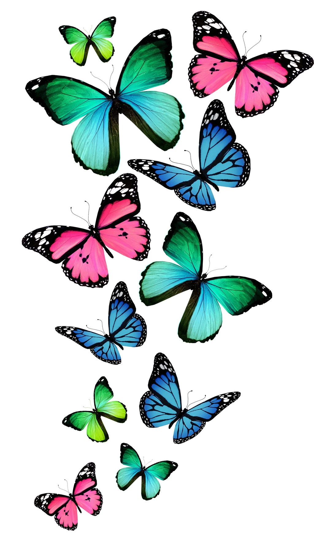 Colorful Butterfly Art Nexus 6 Wallpapers, Nexus 6 Wallpapers And ...