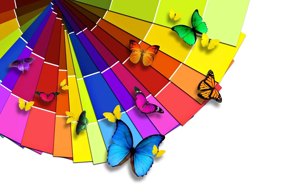 Colorful Butterfly.jpg