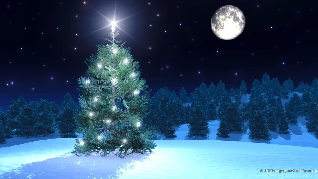 Christmas Tree Wallpapers 2560x1440
