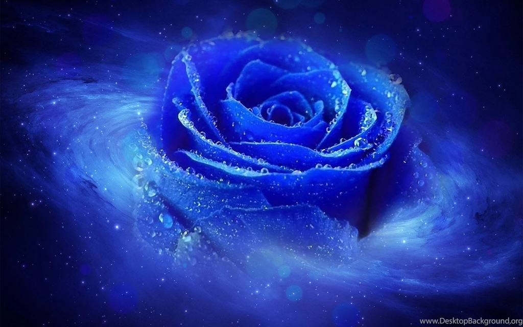 Cool Blue Rose Darkness 1280×800 HD Love Desktop Wallpapers ...