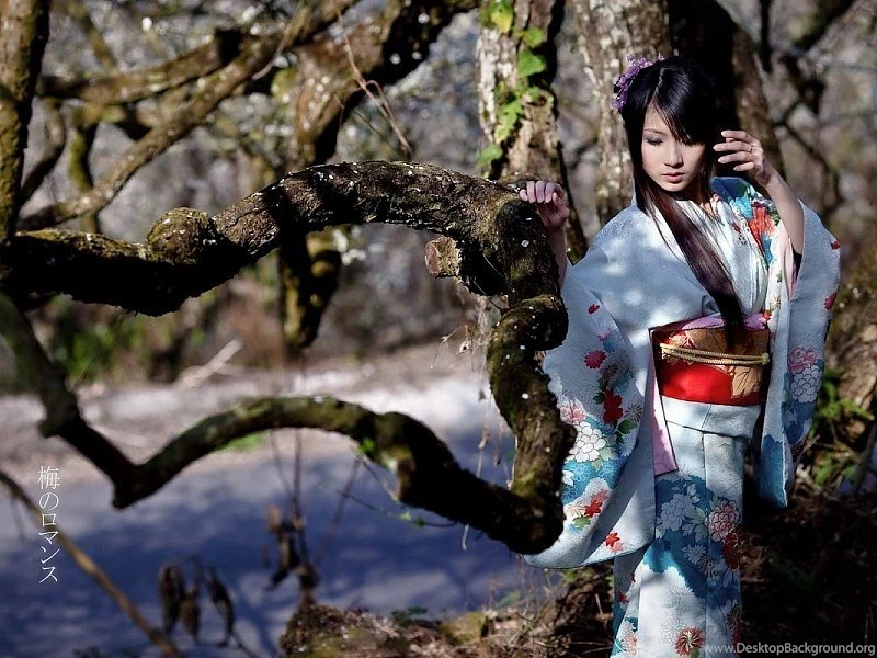 Japanese Girl Wearing Kimono Photo Free Desktop Backgrounds And ...