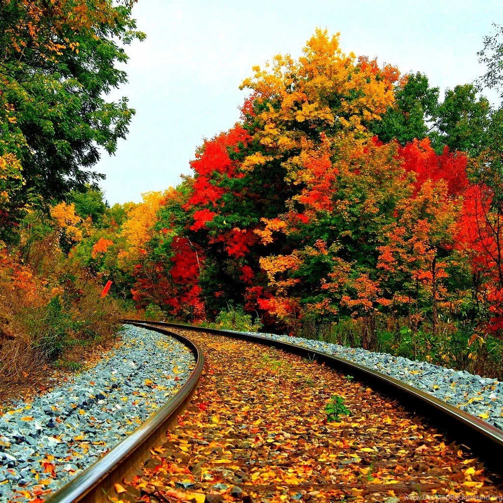 Fall Scenery Wallpapers Wallpapers Zone