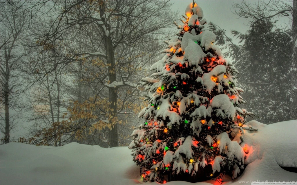 Christmas Tree Outside Items Jewelry Desktop Wallpapers Background Christmas Tree Outside Items Jewelry Desktop Wallpapers Background