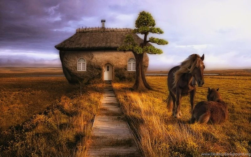 Horses 2560x1920 Wallpapers – Animals Horses HD Desktop Wallpapers