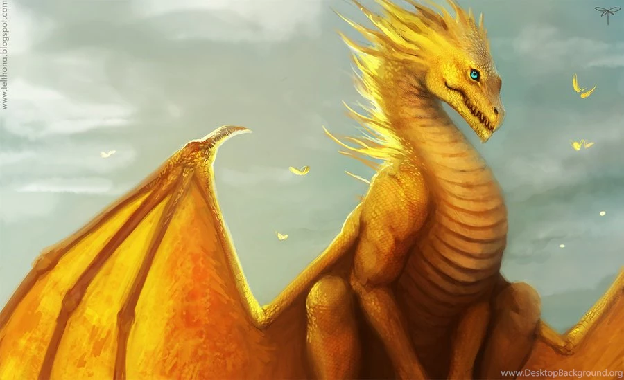 Gold Dragon 29 High Resolution Wallpapers Hivewallpaper.com