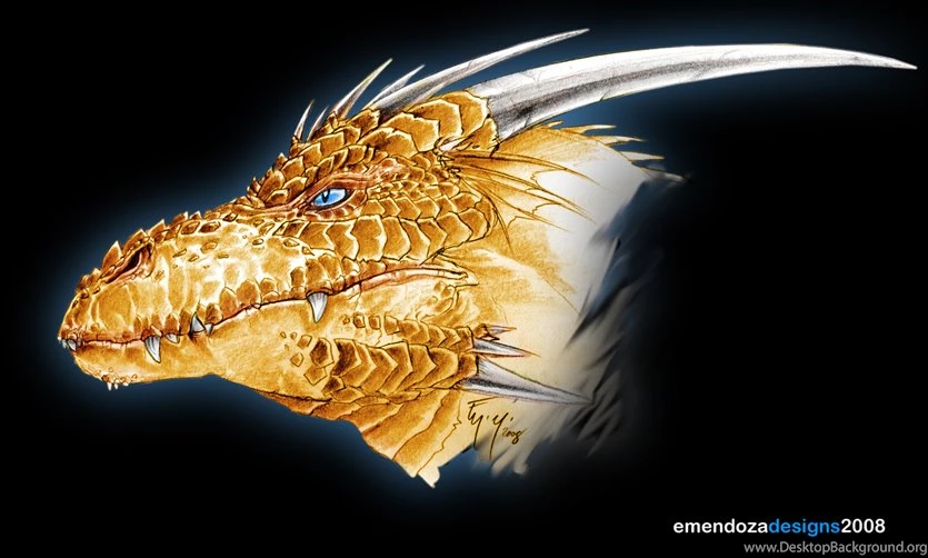 Gold Dragon 42 Backgrounds Wallpapers Hivewallpaper.com