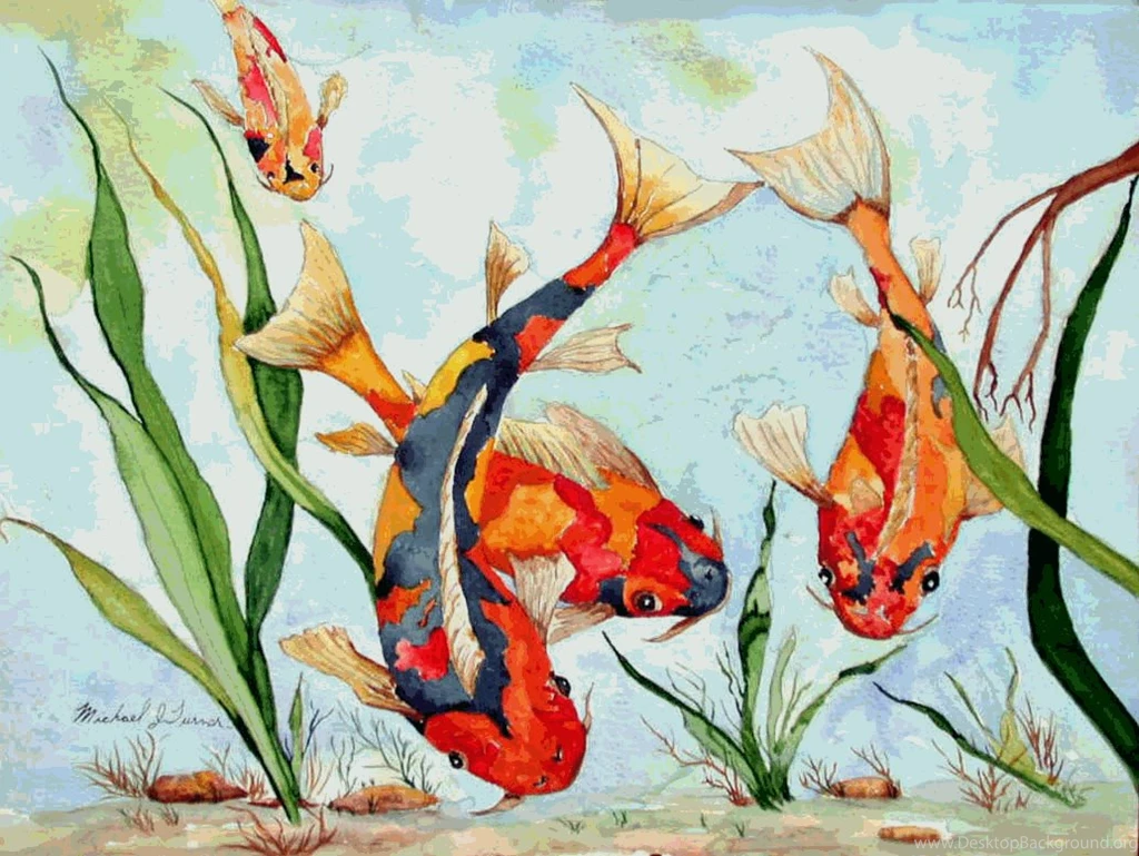 Koi Backgrounds Wallpapers Cave