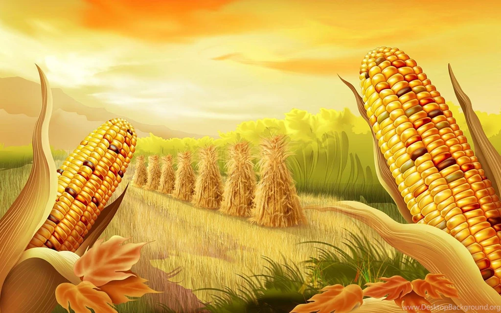 Thanksgiving Wallpapers HD Android Apps On Google Play