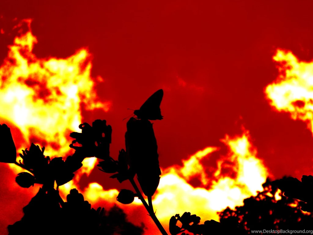 Red Sky Wallpapers By Blackpanther1307 On DeviantArt