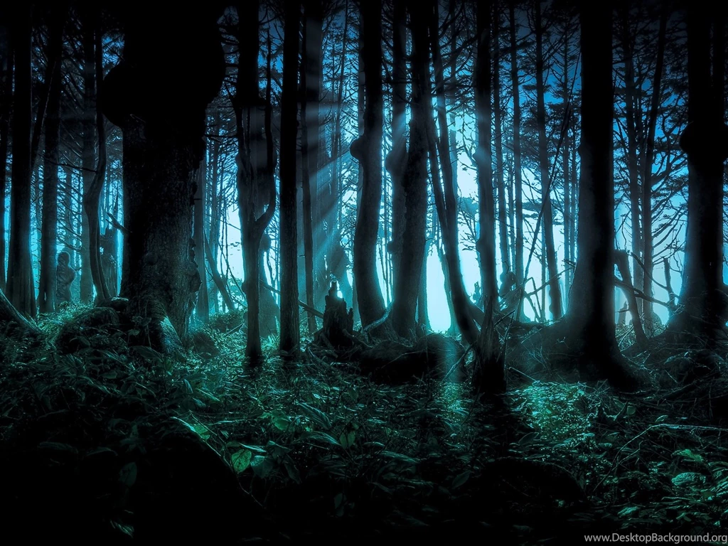 Mysterious Forest Wallpapers   1600x1200 Wallpapers Download ...