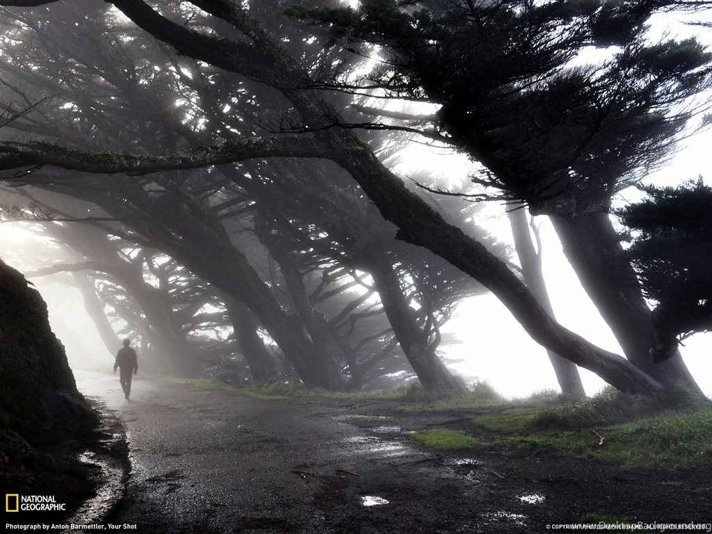 Point Reyes Photo – California Wallpapers – National Geographic ...