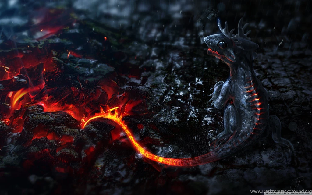 Salamander Artwork HD Desktop Wallpapers : High Definition ...