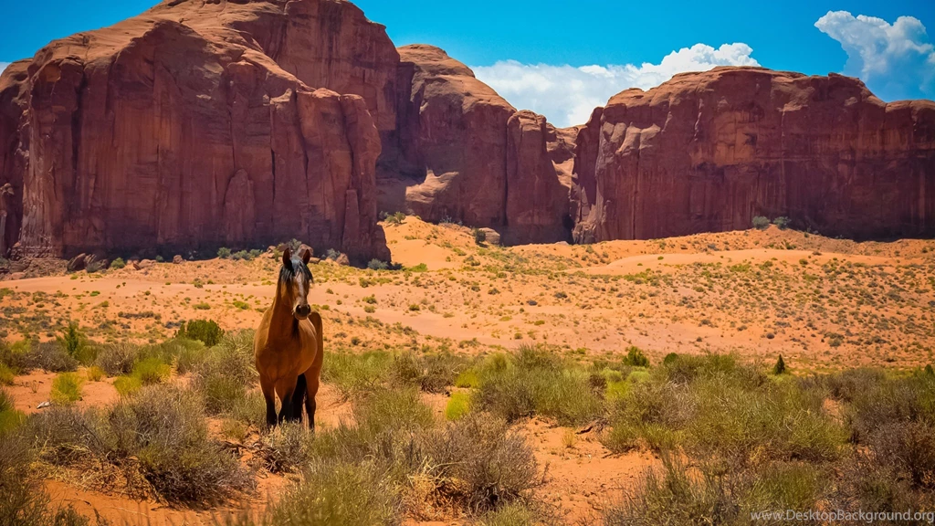 Download Wallpapers 2048x1152 Horse, Usa, Arizona, Monument Valley ...
