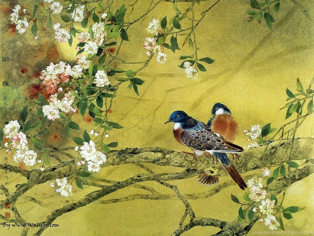 Birds: Birds Colourful Charming Pretty Gentle Chinese Painting ...